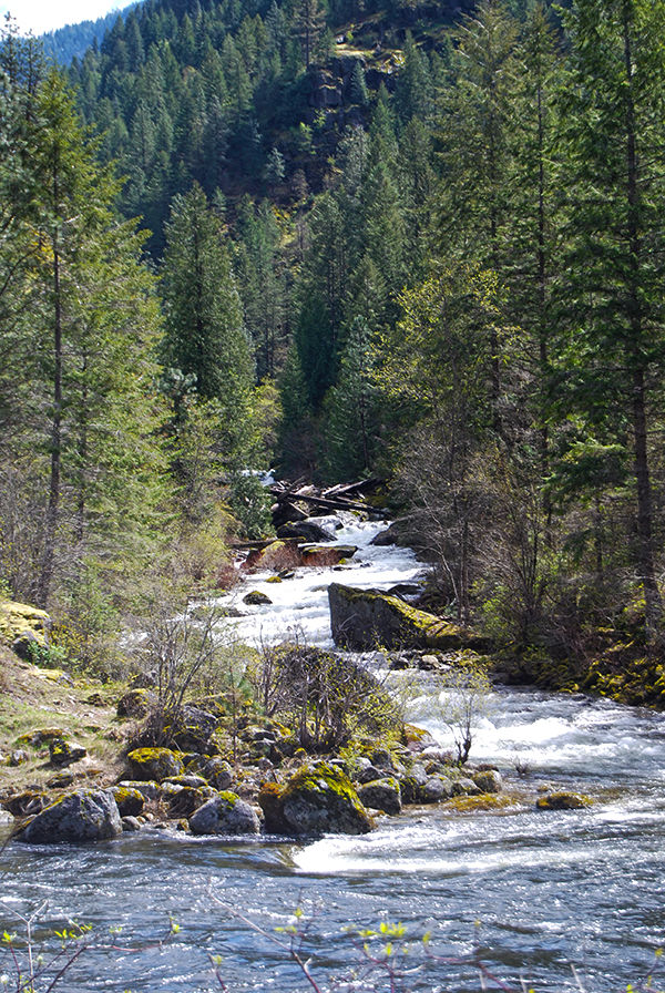 Waterfalls along U.S. Highway 12